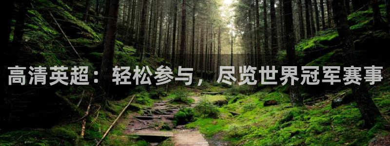高清英超：轻松参与，尽览世界冠军赛事