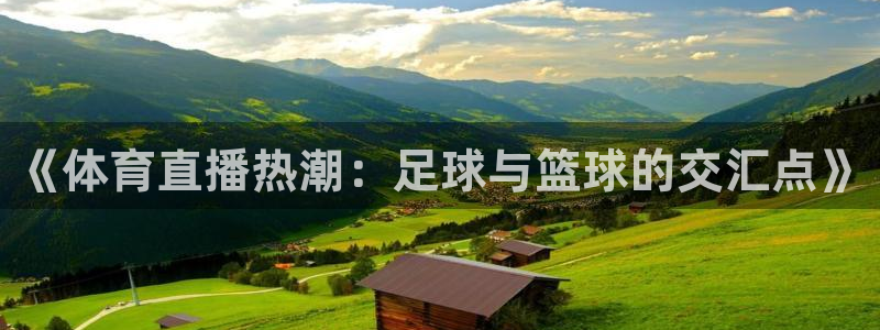 《体育直播热潮：足球与篮球的交汇点》
