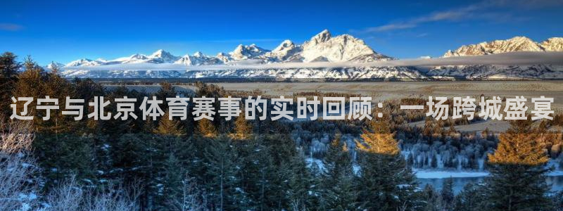 辽宁与北京体育赛事的实时回顾：一场跨城盛宴