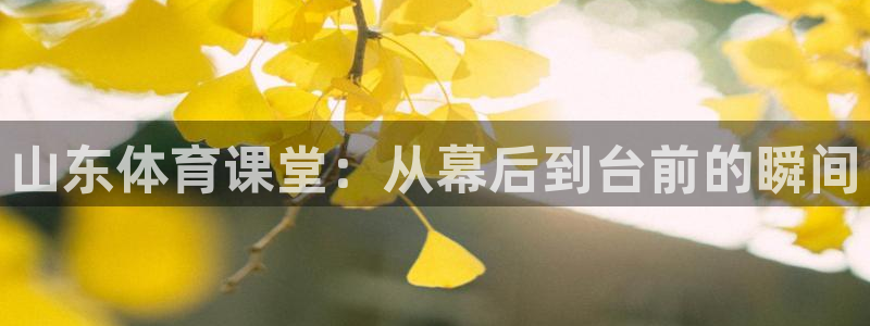 山东体育课堂：从幕后到台前的瞬间