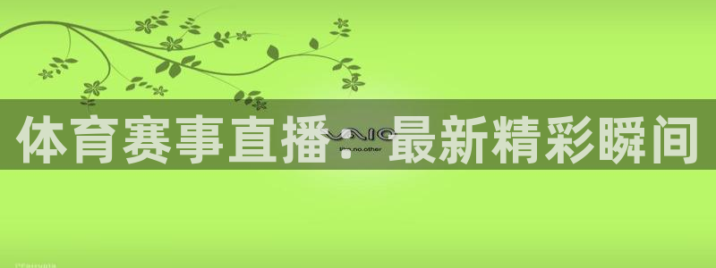 体育赛事直播：最新精彩瞬间