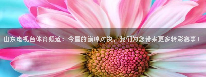 山东电视台体育频道：今夏的巅峰对决，我们为您带来更多精彩赛事！