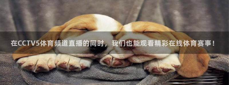在CCTV5体育频道直播的同时，我们也能观看精彩在线体育赛事！