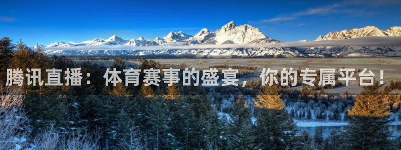 腾讯直播：体育赛事的盛宴，你的专属平台！