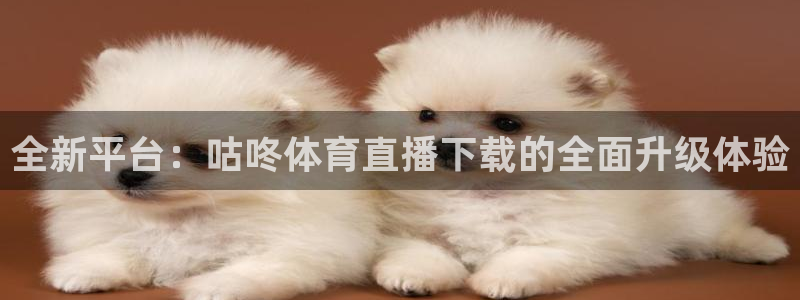 全新平台：咕咚体育直播下载的全面升级体验