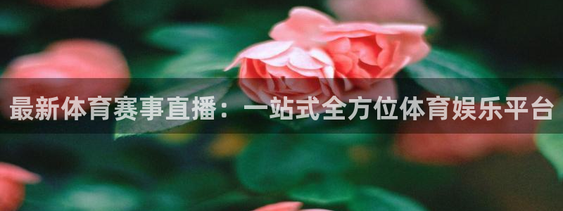 最新体育赛事直播：一站式全方位体育娱乐平台