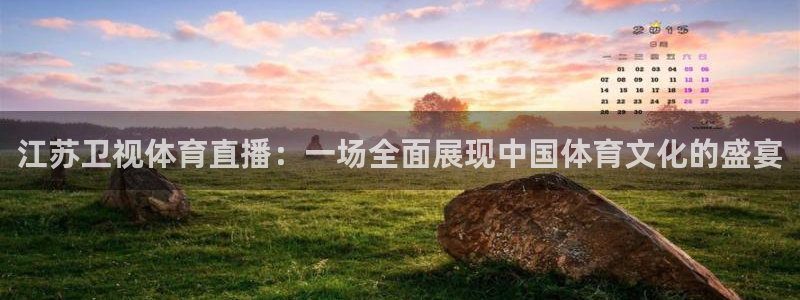 江苏卫视体育直播：一场全面展现中国体育文化的盛宴
