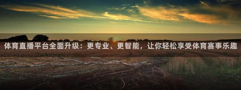 体育直播平台全面升级：更专业、更智能，让你轻松享受体育赛事乐趣