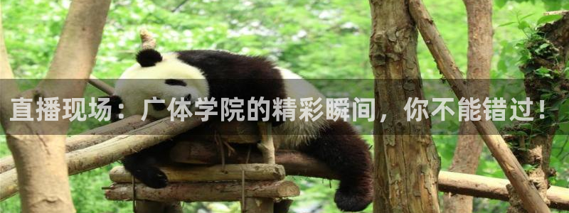 直播现场：广体学院的精彩瞬间，你不能错过！