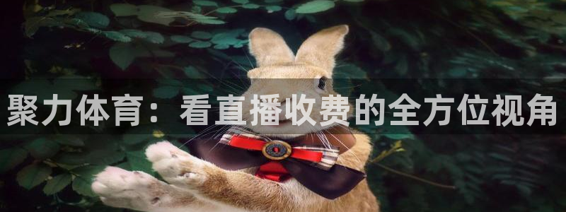 聚力体育：看直播收费的全方位视角