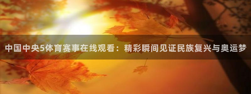 中国中央5体育赛事在线观看：精彩瞬间见证民族复兴与奥运梦