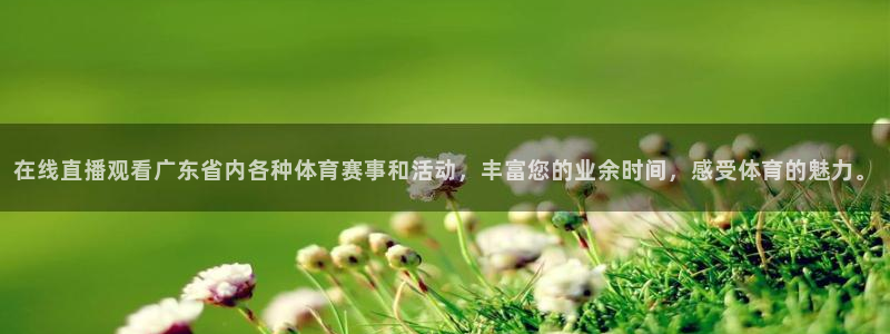 在线直播观看广东省内各种体育赛事和活动，丰富您的业余时间，感受体育的魅力。