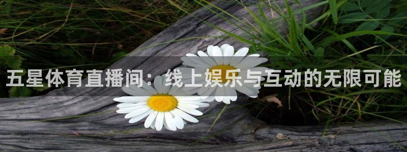 五星体育直播间：线上娱乐与互动的无限可能