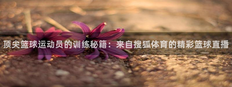 顶尖篮球运动员的训练秘籍：来自搜狐体育的精彩篮球直播