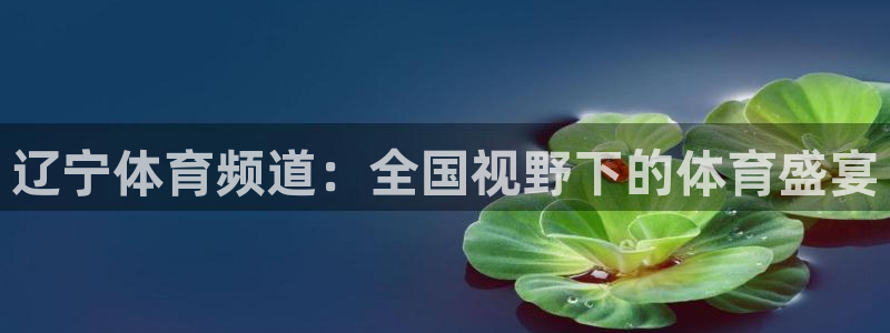 辽宁体育频道：全国视野下的体育盛宴